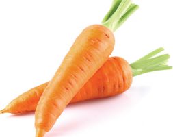 Fresh Carrots