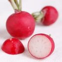 Radish