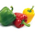 Resh green bell pepper