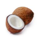 Coconuts fruit