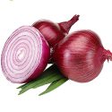 Fresh holland red onion