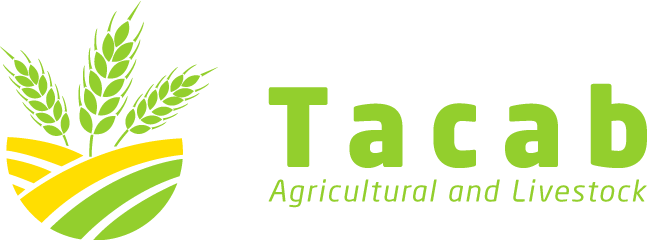 Tacab